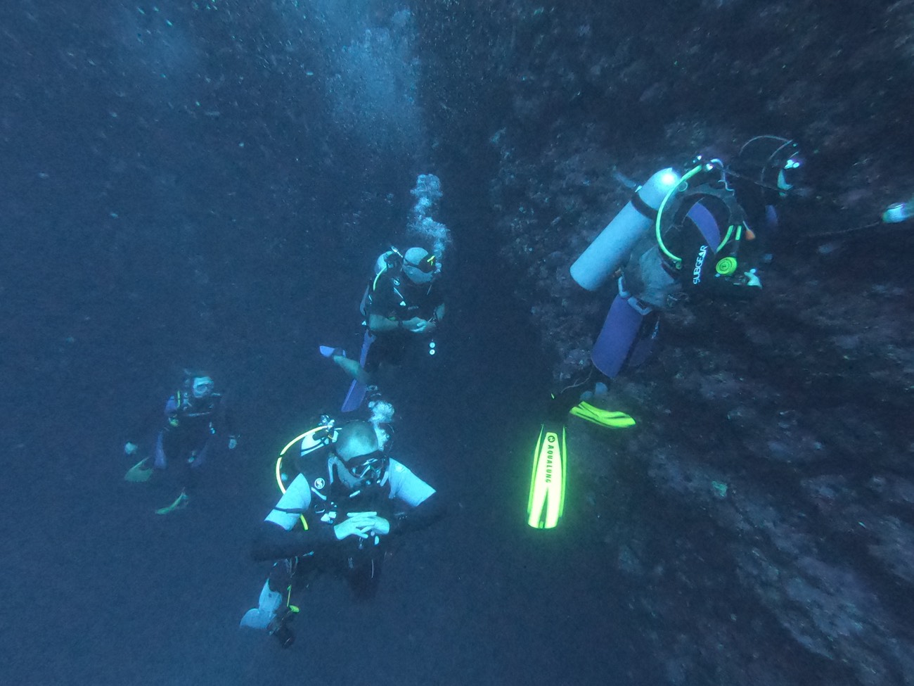 Night dive in open water